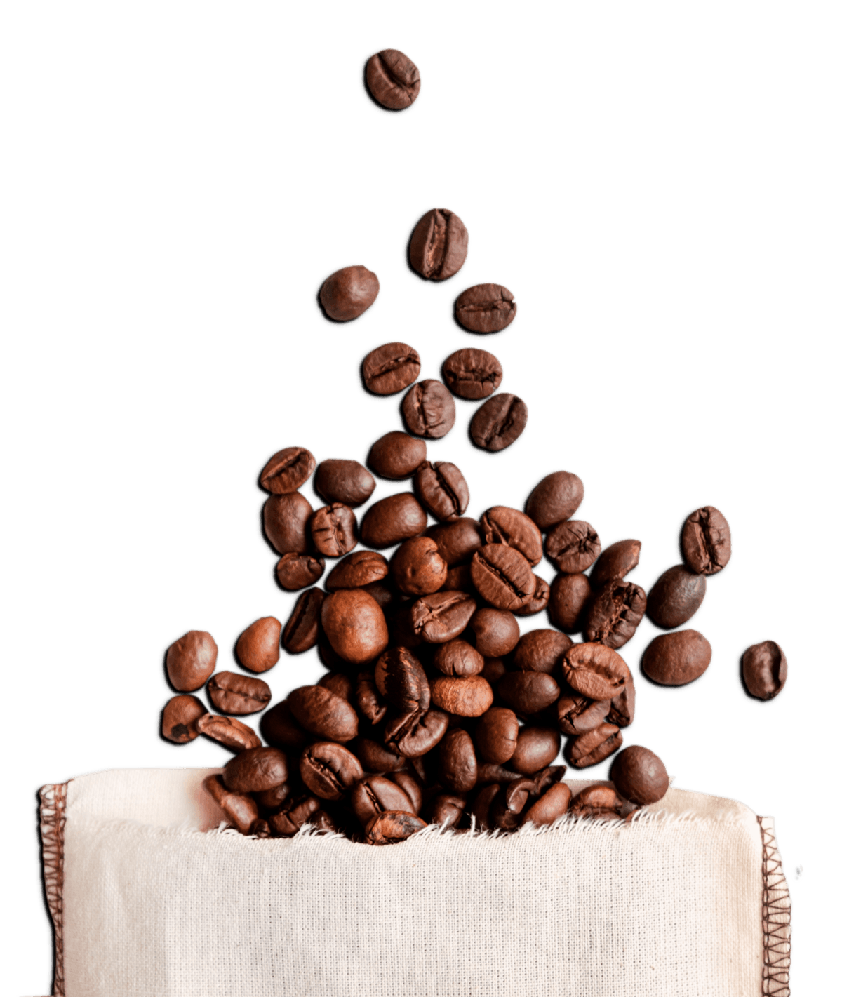 Coffee Cup